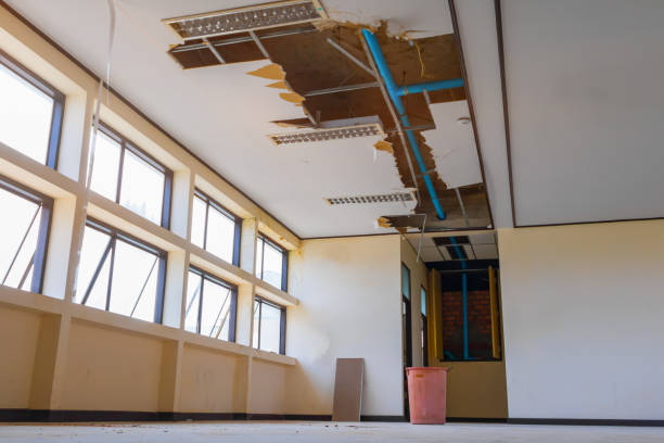 Best Basement water damage restoration  in Hillsboro, MO