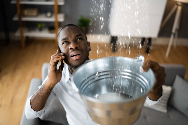  Hillsboro, MO Water damage restoration Pros