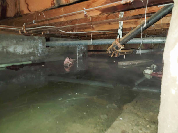 Best Fire Damage Restoration  in Hillsboro, MO