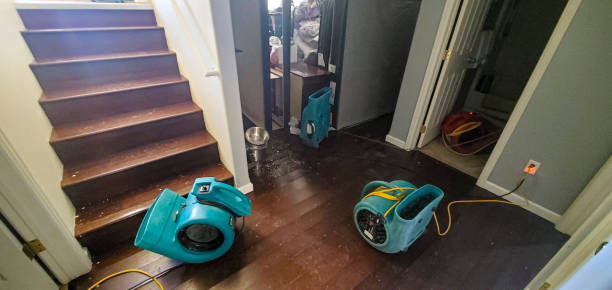 Best Water damage restoration services  in Hillsboro, MO
