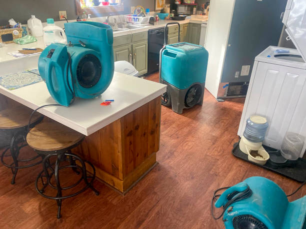 Best Sewage cleanup and water damage restoration  in Hillsboro, MO