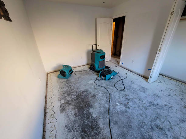 Best Emergency water extraction  in Hillsboro, MO