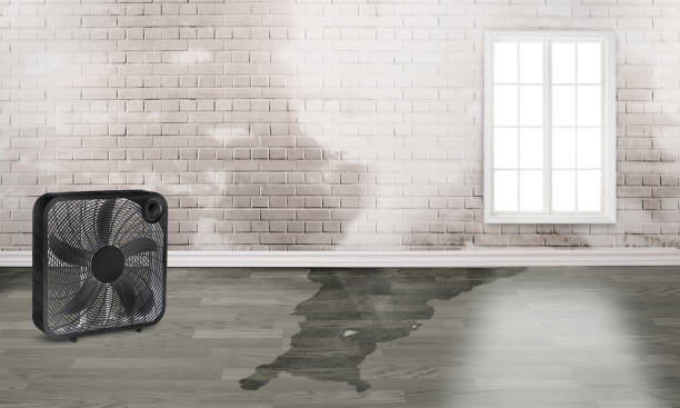 Local water damage restoration in Hillsboro, MO