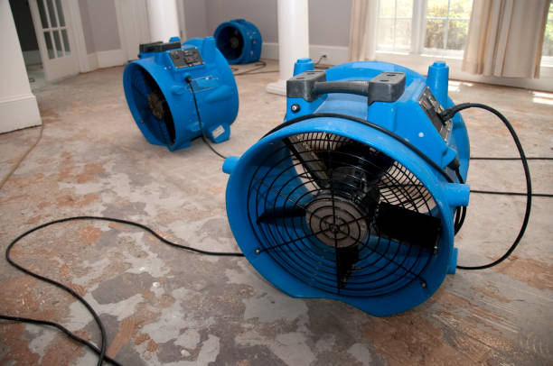 Best Water damage contractors near me  in Hillsboro, MO