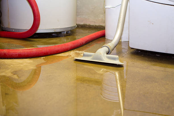 Best Water damage restoration cost  in Hillsboro, MO