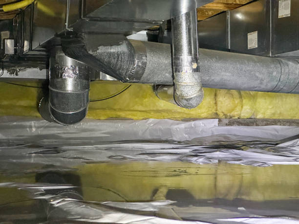 Best Flooded house restoration  in Hillsboro, MO