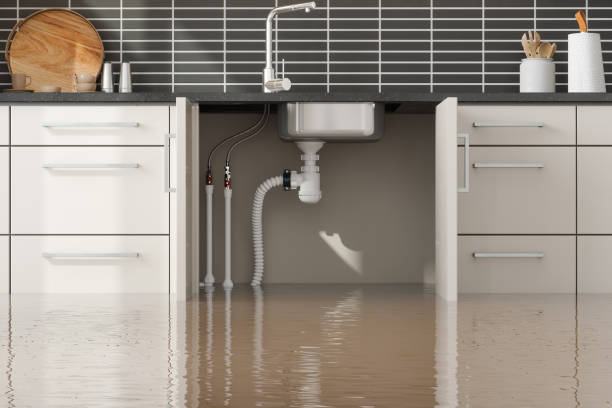 Best Commercial water damage restoration  in Hillsboro, MO