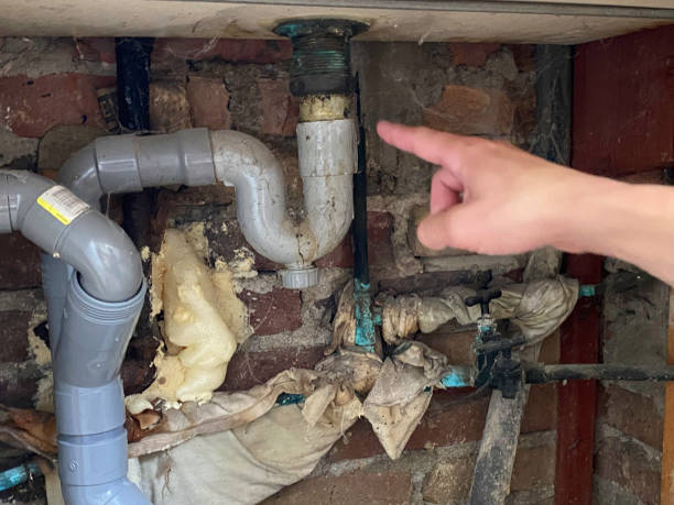 Best Flooded house restoration  in Hillsboro, MO