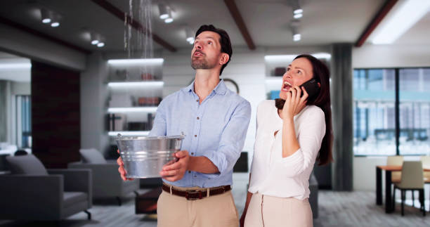 Best Local water damage restoration  in Hillsboro, MO