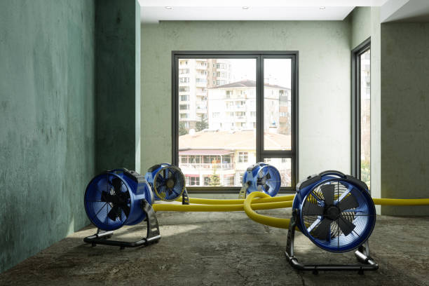 Best 24-hour water damage restoration  in Hillsboro, MO
